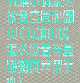 书旗小说怎么设置音量键翻页(书旗小说怎么设置音量键翻页苹果手机)