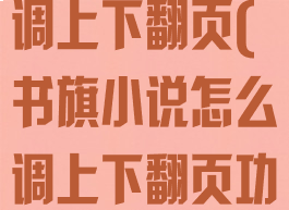 书旗小说怎么调上下翻页(书旗小说怎么调上下翻页功能)