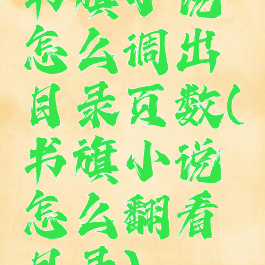 书旗小说怎么调出目录页数(书旗小说怎么翻看目录)