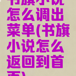 书旗小说怎么调出菜单(书旗小说怎么返回到首页)