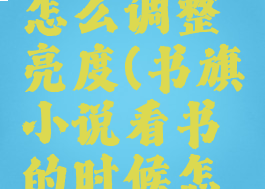 书旗小说怎么调整亮度(书旗小说看书的时候怎么设置)