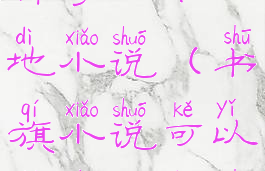 书旗小说怎样导入本地小说(书旗小说可以导出本地书么?)