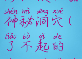 了不起的修仙模拟器神秘洞穴(了不起的修仙模拟器洞玄)