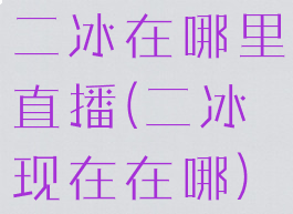 二冰在哪里直播(二冰现在在哪)