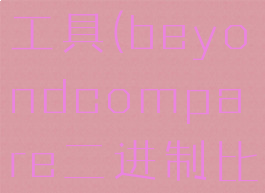 二进制比较工具(beyondcompare二进制比较)