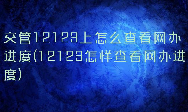 交管12123上怎么查看网办进度(12123怎样查看网办进度)