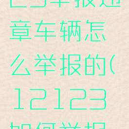 交管12123举报违章车辆怎么举报的(12123如何举报违章车辆)