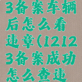 交管12123备案车辆后怎么看违章(12123备案成功怎么查违章)