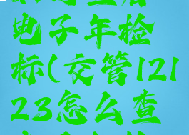 交管12123如何查看电子年检标(交管12123怎么查电子年检标志)