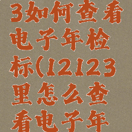 交管12123如何查看电子年检标(12123里怎么查看电子年检标志)