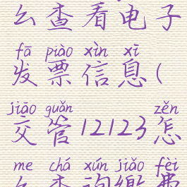 交管12123怎么查看电子发票信息(交管12123怎么查询缴费电子发票)