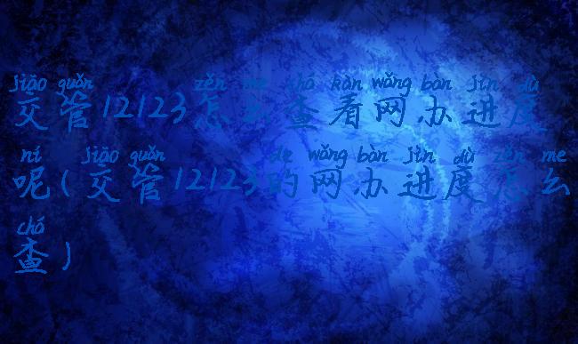 交管12123怎么查看网办进度呢(交管12123的网办进度怎么查)