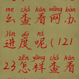 交管12123怎么查看网办进度呢(12123怎样查看网办进度)