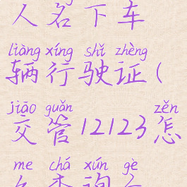 交管12123怎么查询本人名下车辆行驶证(交管12123怎么查询个人名下机动车)