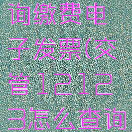 交管12123怎么查询缴费电子发票(交管12123怎么查询缴费电子发票明细)