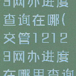 交管12123网办进度查询在哪(交管12123网办进度在哪里查询)