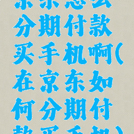 京东怎么分期付款买手机啊(在京东如何分期付款买手机)