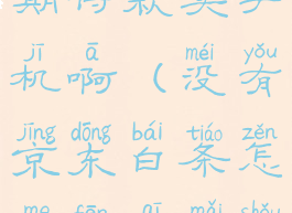 京东怎么分期付款买手机啊(没有京东白条怎么分期买手机)