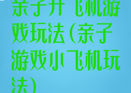 亲子开飞机游戏玩法(亲子游戏小飞机玩法)