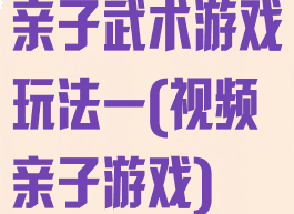 亲子武术游戏玩法一(视频亲子游戏)