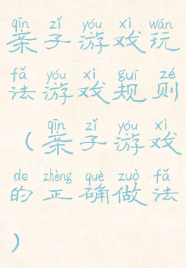 亲子游戏玩法游戏规则(亲子游戏的正确做法)