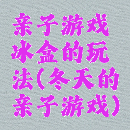 亲子游戏冰盒的玩法(冬天的亲子游戏)