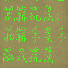 亲子游戏坐花轿玩法(抬轿子亲子游戏玩法和规则)