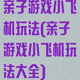 亲子游戏小飞机玩法(亲子游戏小飞机玩法大全)