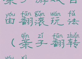 亲子游戏自由翻滚玩法(亲子翻转游戏)