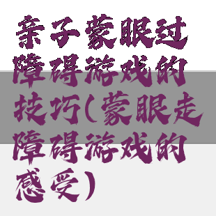 亲子蒙眼过障碍游戏的技巧(蒙眼走障碍游戏的感受)