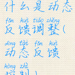 什么是动态反馈调整(动态反馈控制)