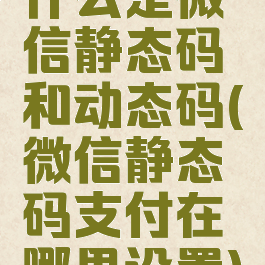 什么是微信静态码和动态码(微信静态码支付在哪里设置)