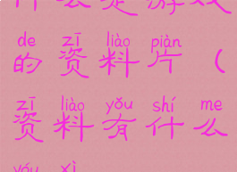 什么是游戏的资料片(资料有什么游戏)