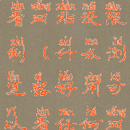 什么浏览器看网站没限制(什么浏览器好用可以看任何网站)