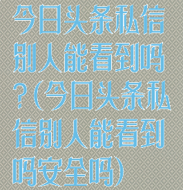 今日头条私信别人能看到吗?(今日头条私信别人能看到吗安全吗)