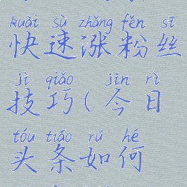 今日头条快速涨粉丝技巧(今日头条如何涨粉快)
