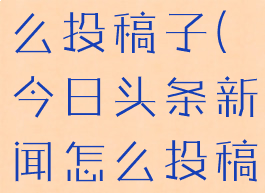 今日头条怎么投稿子(今日头条新闻怎么投稿)