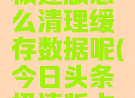 今日头条极速版怎么清理缓存数据呢(今日头条极速版占用空间大)