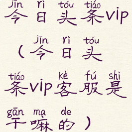 今日头条vip(今日头条vip客服是干嘛的)