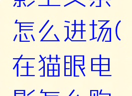 从猫眼电影上买票怎么进场(在猫眼电影怎么购票)