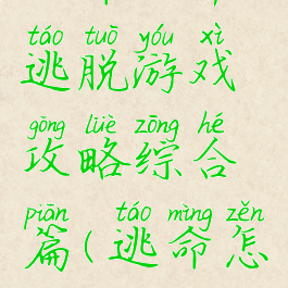 从命运中逃脱游戏攻略综合篇(逃命怎么玩)