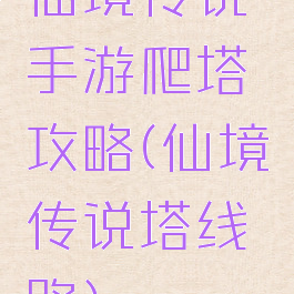 仙境传说手游爬塔攻略(仙境传说塔线路)