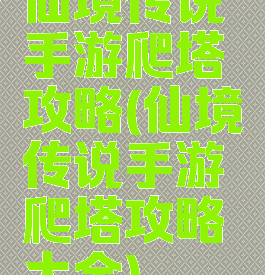 仙境传说手游爬塔攻略(仙境传说手游爬塔攻略大全)