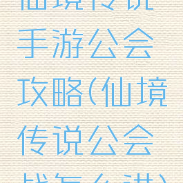 仙境传说手游公会攻略(仙境传说公会战怎么进)