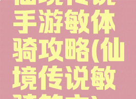 仙境传说手游敏体骑攻略(仙境传说敏骑符文)