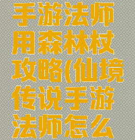 仙境传说手游法师用森林杖攻略(仙境传说手游法师怎么玩)