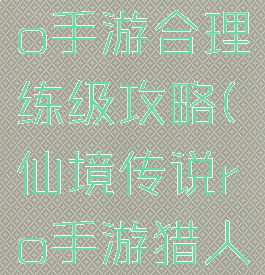仙境传说ro手游合理练级攻略(仙境传说ro手游猎人练级攻略)