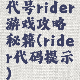 代号rider游戏攻略秘籍(rider代码提示)