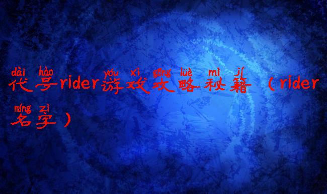 代号rider游戏攻略秘籍(rider名字)