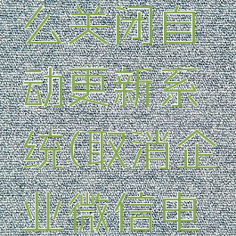 企业微信电脑版怎么关闭自动更新系统(取消企业微信电脑版自动登录)